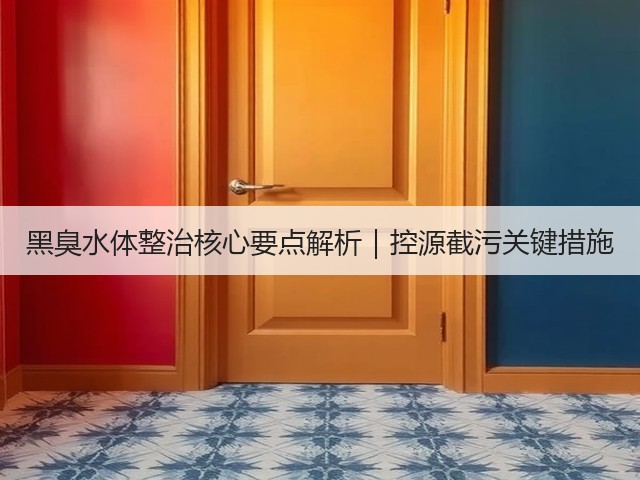 黑臭水体整治核心要点解析｜控源截污关键措施(图2)