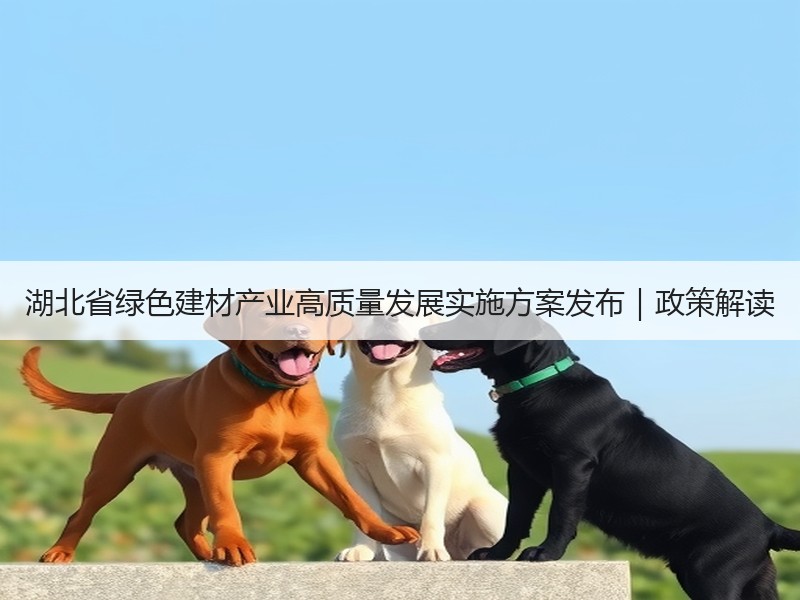 湖北省绿色建材产业高质量发展实施方案发布｜政策解读