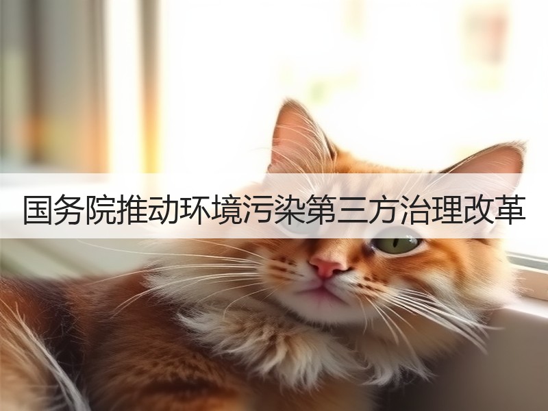 国务院推动环境污染第三方治理改革
