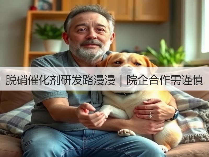 脱硝催化剂研发路漫漫｜院企合作需谨慎