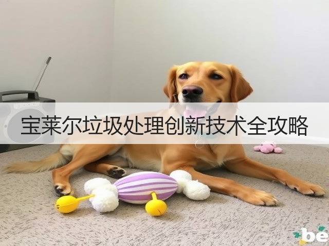 宝莱尔垃圾处理创新技术全攻略(图2) 宝莱尔垃圾处理创新技术全攻略(图2)