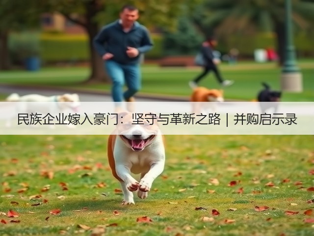 民族企业嫁入豪门：坚守与革新之路｜并购启示录(图3)