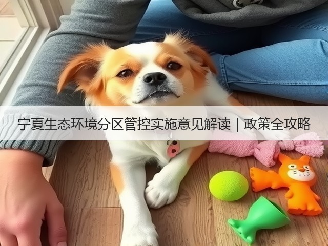 宁夏生态环境分区管控实施意见解读｜政策全攻略(图2)