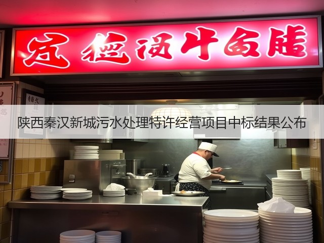陕西秦汉新城污水处理特许经营项目中标结果公布(图2)