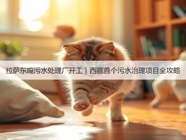 拉萨东嘎污水处理厂开工｜西藏首个污水治理项目全攻略(图3)
