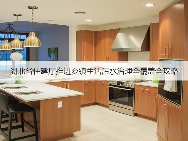 湖北省住建厅推进乡镇生活污水治理全覆盖全攻略(图3)