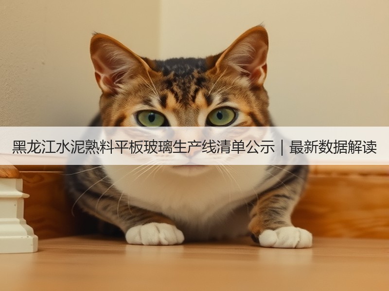 黑龙江水泥熟料平板玻璃生产线清单公示|最新数据解读 黑龙江水泥熟料平板玻璃生产线清单公示|最新数据解读