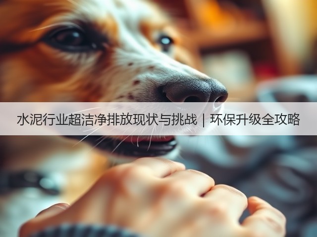 水泥行业超洁净排放现状与挑战｜环保升级全攻略(图3)