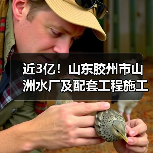 近3亿！山东胶州市山洲水厂及配套工程施工全部标段中标候选人公示！（图4）