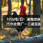 10万吨/日!湖南龙泉污水处理厂一二期及配套管网工程正式投入商运!(图3) 10万吨/日!湖南龙泉污水处理厂一二期及配套管网工程正式投入商运!(图3)