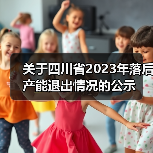 关于四川省2023年落后产能退出情况的公示（图2）