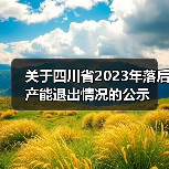 关于四川省2023年落后产能退出情况的公示（图3）