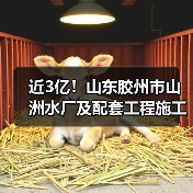 近3亿！山东胶州市山洲水厂及配套工程施工全部标段中标候选人公示！（图3）