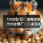 10万吨/日！湖南龙泉污水处理厂一二期及配套管网工程正式投入商运！（图2）