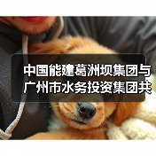 中国能建葛洲坝集团与广州市水务投资集团共商合作
