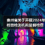 贵州省关于开展2024年检验检测机构监督检查的通知(图4) 贵州省关于开展2024年检验检测机构监督检查的通知(图4)