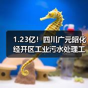 1.23亿！四川广元昭化经开区工业污水处理工程-设计施工总承包+运营管理（EPC+O）开标