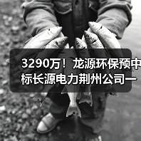 3290万！龙源环保预中标长源电力荆州公司一期脱硫废水零排放改造EPC（图2）