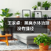 王家卓：黑臭水体治理没有捷径（图3）