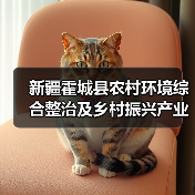 新疆霍城县农村环境综合整治及乡村振兴产业融合发展EOD项目招标（图2）