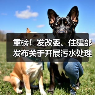 重磅！发改委、住建部发布关于开展污水处理绿色低碳标杆厂 遴选工作的通知（图3）