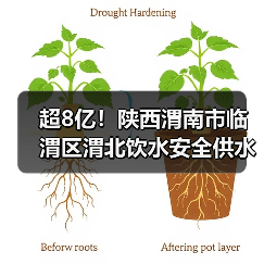 超8亿！陕西渭南市临渭区渭北饮水安全供水工程EPC总承包项目中标结果公示！（图3）