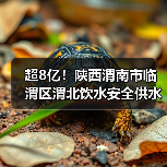 超8亿！陕西渭南市临渭区渭北饮水安全供水工程EPC总承包项目中标结果公示！