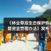 《林业草原生态保护恢复资金管理办法》发布！（图3）
