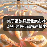 关于组织开展北京市2024年绿色低碳先进技术征集和示范工程申报的通知（图3）