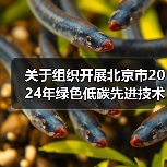 关于组织开展北京市2024年绿色低碳先进技术征集和示范工程申报的通知（图2）