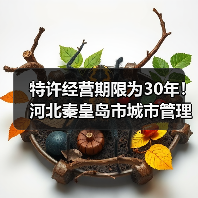 特许经营期限为30年！河北秦皇岛市城市管理综合行政执法局秦皇岛市第四污水处理厂特许经营项目（二次）公开招标！（图3）