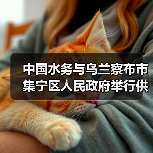 中国水务与乌兰察布市集宁区人民政府举行供排水一体化项目签约仪式！（图3）