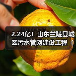 2.24亿!山东兰陵县城区污水管网建设工程(四期)工程总承包招标(图3) 2.24亿!山东兰陵县城区污水管网建设工程(四期)工程总承包招标(图3)