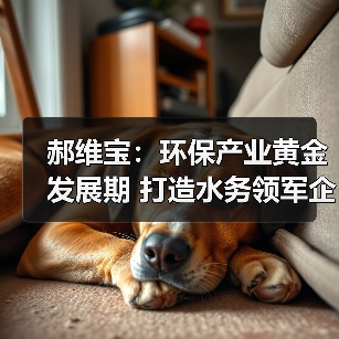 郝维宝：环保产业黄金发展期 打造水务领军企业