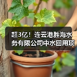 超3亿!连云港胜海水务有限公司中水回用项目工程总承包(EPC)中标候选人公示!(图2) 超3亿!连云港胜海水务有限公司中水回用项目工程总承包(EPC)中标候选人公示!(图2)