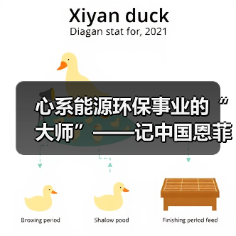心系能源环保事业的“大师”——记中国恩菲能源环境事业部主任工程师鲍化坤（图2）