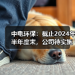 中电环保：截止2024年半年度末，公司待实施的在手合同金额为30.71亿元（图4）