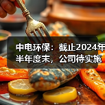 中电环保：截止2024年半年度末，公司待实施的在手合同金额为30.71亿元（图3）