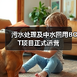 污水处理及中水回用BOT项目正式运营（图2）