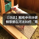 【访谈】揭密中央环保督察组在河北如何“亮剑”？（图2）