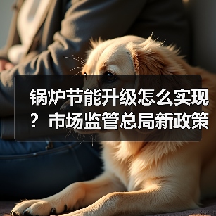 锅炉节能升级怎么实现？市场监管总局新政策解读