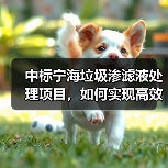 中标宁海垃圾渗滤液处理项目，如何实现高效环保处理？（图4）