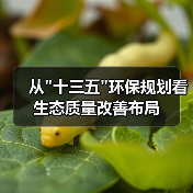 从