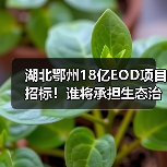 湖北鄂州18亿EOD项目招标！谁将承担生态治理与产业融合重任？