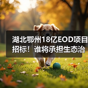湖北鄂州18亿EOD项目招标!谁将承担生态治理与产业融合重任?(图4) 湖北鄂州18亿EOD项目招标!谁将承担生态治理与产业融合重任?(图4)