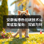 安徽省绿色低碳技术成果征集指南：双碳与环保领域项目申报全解析（图4）