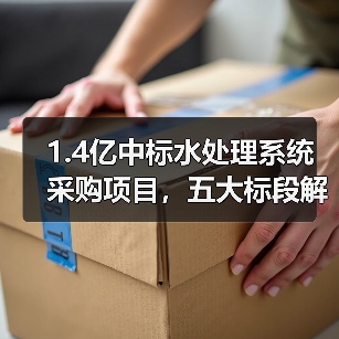 1.4亿中标水处理系统采购项目,五大标段解析(图4) 1.4亿中标水处理系统采购项目,五大标段解析(图4)