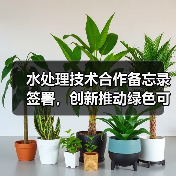 水处理技术合作备忘录签署，创新推动绿色可持续发展（图2）