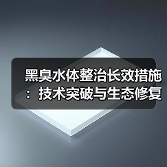 黑臭水体整治长效措施：技术突破与生态修复之道（图2）