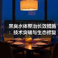 黑臭水体整治长效措施：技术突破与生态修复之道（图4）